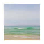 Seacoast 601-David E Rowell-Stretched Canvas