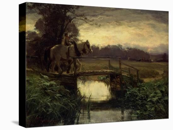 Stretched Canvas Print, , large