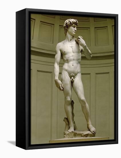 David: Frontal View-Michelangelo Buonarroti-Framed Premier Image Canvas