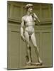 David: Frontal View-Michelangelo Buonarroti-Mounted Giclee Print