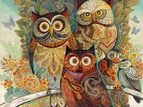 Owls-David Galchutt-Giclee Print