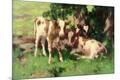 Premium Giclee Print