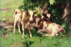 Three Calves in the Shade of a Tree-David Gauld-Giclee Print