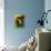 David Geometrized-null-Framed Stretched Canvas displayed on a wall
