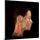 Premium Photographic Print