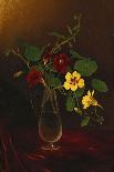 Nasturtiums in a Vase, Circa 1865-1875-David Gilmour Blythe-Framed Giclee Print
