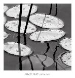 Jewel Drops-David Gray-Framed Art Print