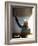 David Guetta-null-Framed Photo