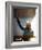 David Guetta-null-Framed Photo