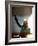 David Guetta-null-Framed Photo