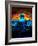 David Guetta-null-Framed Photo