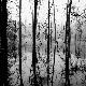 Premium Photographic Print