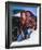 David Hasselhoff-null-Framed Photo