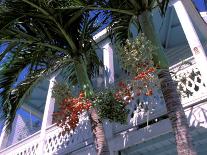 Colonial Architecture and Palm Details, Key West, Florida, USA-David Herbig-Photographic Print