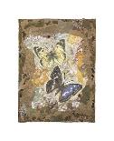 Honeycomb Butterflies-David Hewitt-Giclee Print