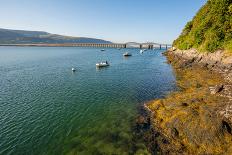 A View across the Estuary to Barmouth Viaduct Barmouth Gwynedd Wales UK-David Holbrook-Framed Photographic Print