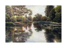 Tranquil Waters-David Howells-Stretched Canvas