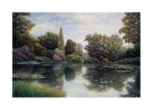 Nature's Tapestry-David Howells-Framed Giclee Print