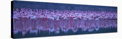 Flamingos-David Hua-Framed Premier Image Canvas