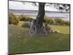 Photographic Print