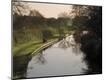 Photographic Print