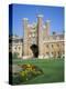 Stretched Canvas Print
