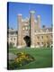 Stretched Canvas Print