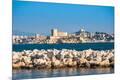 Premium Photographic Print