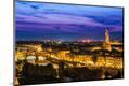 Photographic Print