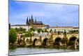 Premium Photographic Print