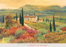 September in Tuscany II-David Jackson-Mounted Art Print