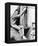 David Janssen - The Fugitive-null-Framed Stretched Canvas