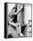 David Janssen - The Fugitive-null-Framed Stretched Canvas