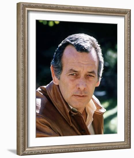 David Janssen-null-Framed Photo