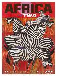Africa - Fly TWA (Trans World Airlines) - Zebras-David Klein-Art Print