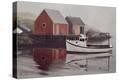 Stretched Canvas Print