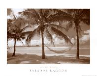 Paradise Lagoon-David L^ Kluver-Framed Art Print