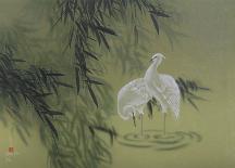 Birds-David Lee-Limited Edition