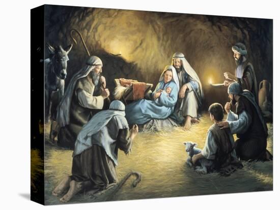 Stretched Canvas Print, , large