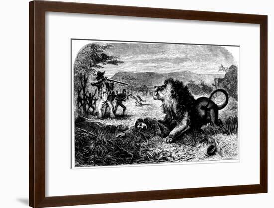 David Livingstone, Saved from a Lion by Mebalwe, a Native Schoolmaster, 1857-null-Framed Giclee Print