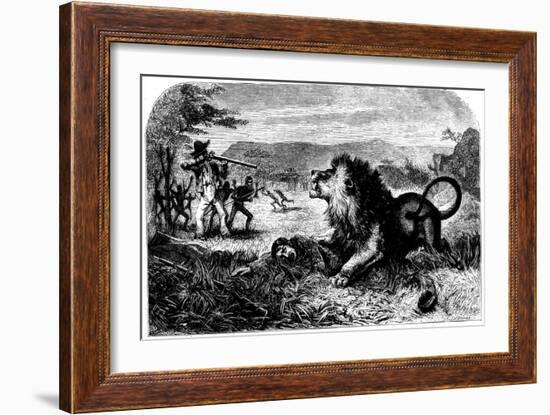 David Livingstone, Saved from a Lion by Mebalwe, a Native Schoolmaster, 1857-null-Framed Giclee Print