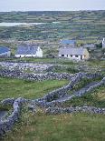 Inishmore, Aran Islands, County Galway, Connacht, Eire (Republic of Ireland)-David Lomax-Photographic Print