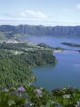 Houses and Coastline in the Town of Santa Cruz on the Island of Graciosa in the Azores, Portugal-David Lomax-Photographic Print