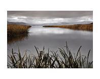 Lake Calm-David Lorenz Winston-Framed Art Print