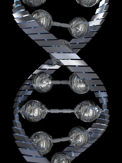 Photographic Print, , large