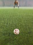 Goal and Net on Empty Soccer Field-David Madison-Framed Premier Image Canvas