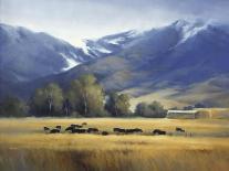 South Pasture-David Marty-Giclee Print
