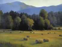 Country Meadow II-David Marty-Giclee Print