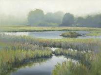 Morning at Edmonds Marsh-David Marty-Giclee Print