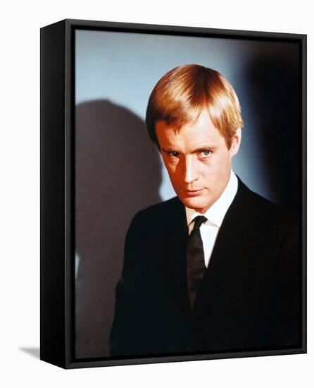 David McCallum - The Man from U.N.C.L.E.-null-Framed Stretched Canvas